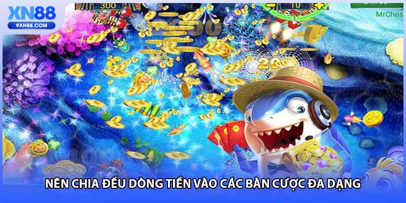 Nên chia đều dòng tiền vào các bàn cược đa dạng 